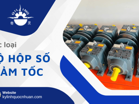 Các loại bộ hộp số giảm tốc chuyên dụng trong công nghiệp